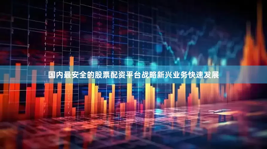 国内最安全的股票配资平台战略新兴业务快速发展
