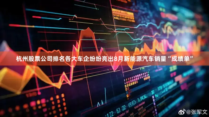 杭州股票公司排名各大车企纷纷亮出8月新能源汽车销量“成绩单”